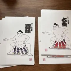 大相撲　大の里　豊昇龍　ハガキ　2枚4組　計8枚
