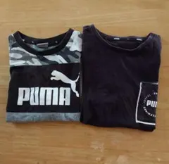 PUMA Tシャツ130cm 2枚セット