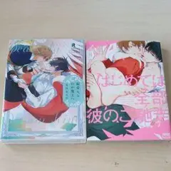ボーイズラブ漫画全巻セット