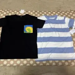 Item thumbnail for item 51f1ed7f-e7df-4554-b009-6dcabe6096c6