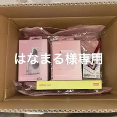 はなまる様Fujifilm insmini Evo 本体+ケース+フィルム10枚