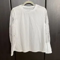 Item thumbnail for item caee01b6-3c85-4cf7-93cd-f8bb681d2d31