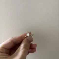 Item thumbnail for item fd21f658-7271-4923-bf1a-996f1fd9c244