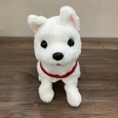 3F イワヤ うれしさバクハツ おでむかえワンワン シロちゃん 動くぬいぐるみのサムネイル
