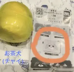 ガチャ　お茶犬　もふもふポーシェット　チャイ　紅茶犬