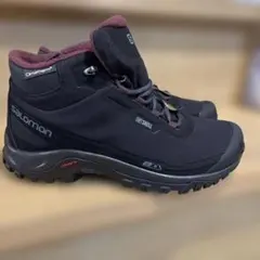 Item thumbnail for item 1ce13448-966b-4708-be0b-6dc98936e88d