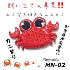 かわいい❤️ ゆる〜い カニ 蟹 ズワイガニ タラバガニ ワッペン 