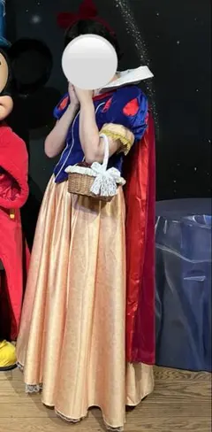 即納 Dハロ仮装 白雪姫 ウィッグ イメージ - メルカリ