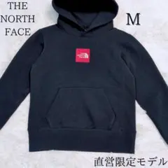 希少✨️THE NORTH FACE ザノースフェイス パーカー 直営限定 ロゴ