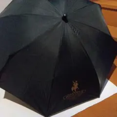 Item thumbnail for item 70939e53-42d9-40a5-b058-629146f94683