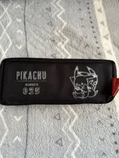 ピカチュウ ペンケース 黒 025