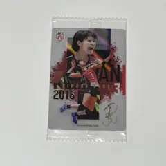 バレーボール女子日本代表 ツインウエハース 2026木村沙織