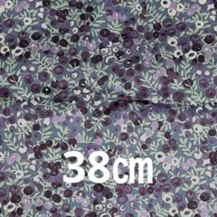 リバティ　ウィルトシャー　はぎれ　c&s タナローン