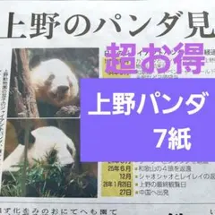 Item thumbnail for item 03737435-7fbf-484d-95dd-0f302e299f59