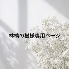 林檎の樹様専用ページ