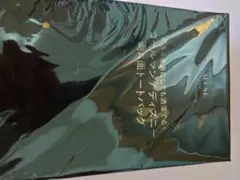 otona MUSE付録　コールマン 両A面トートバッグ
