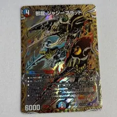 邪龍 ジャジーブラッド シークレット　シク