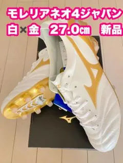 2025年最新】モレリアネオ4 27の人気アイテム - メルカリ