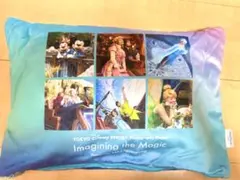 【新品未使用】東京ディズニーリゾート イマジニングザマジック ブランケット