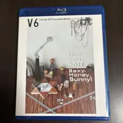 V6 live tour 2011 Sexy Honey Bunny!