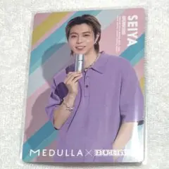 BUDDiiS×MEDULLAヘアカルテ2弾SEIYA