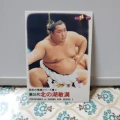 2025年最新】相撲 北の湖の人気アイテム - メルカリ