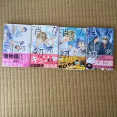 消えた初恋 1巻～4巻セット