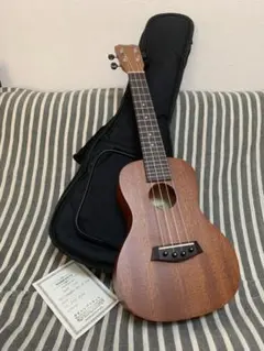 Item thumbnail for item 19170481-bac7-4fd3-ad03-ffa2e9408740