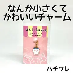 《未開封》なんか小さくてかわいいチャーム ハチワレ
