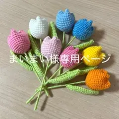 まいまい様専用ページ