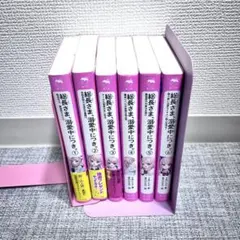 総長様、溺愛中につき　6冊セット　野いちごジュニア文庫