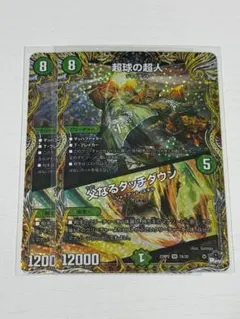 蘆名弦一郎様 リクエスト 2点 まとめ商品