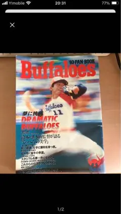 Item thumbnail for item 5c1cbd4b-c4b1-494c-9067-2bbb3033ce31