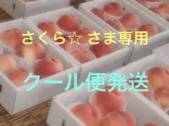 山梨一宮の甘い桃 特大6個詰めて発送 美味しいょ ももやのきよし 限定