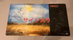 2025年最新】mtg グルランドの人気アイテム - メルカリ