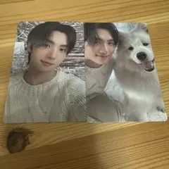 ヨンジェ トレカ