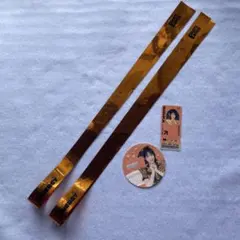 FRUITSZIPPER 東京ドーム 鎮西寿々歌 銀テ ランダムステッカー