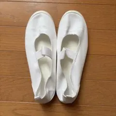 【美品】　Moonstar 上靴 上履き 25cm