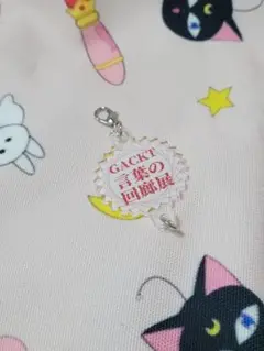 がくっち ぬいぐるみ 11点セット+ショッパー4点+クリアファイル4点 2025年最新】がくっちの人気アイテム - メルカリ