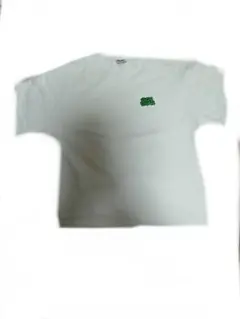 BEN DAVIS　グラフィック Tシャツ ホワイト Mサイズ