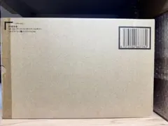 メタルグレイモン フィギュア 輸送箱未開封 - メルカリ