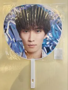 Snow Man ASIA TOUR 2D.2D.渡辺翔太 うちわ