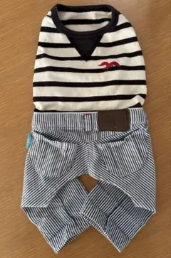 犬服 春夏用ロンパース　Mサイズ