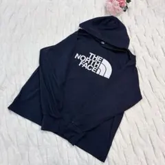 ザノースフェイス l