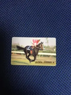 アバンティ 超レア ２Lサイズぬいぐるみ サクラチトセオー 天皇賞 2025年最新】Yahoo!オークション -サクラチトセオーの中古品