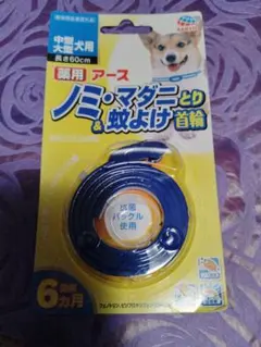 Item thumbnail for item 84fd669d-8851-47db-b1a2-2555caccb75c