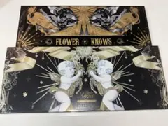 【新品未使用】フラワーノーズ リトルエンジェル 12色 アイシャドウパレット