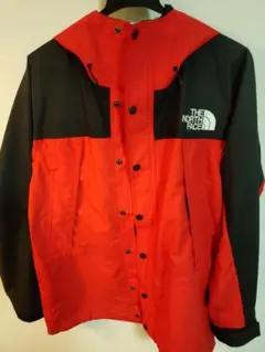 寒いのか！？ THE NORTH FACE GORE-TEX 希少Sサイズ