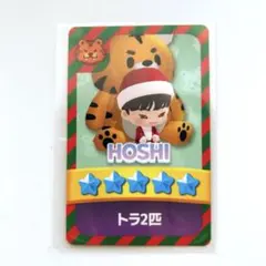 SEVENTEEN パズルティーン ホシ