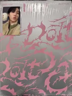 【新品未開封】StrayKids スキズ DO IT ITver. ハン